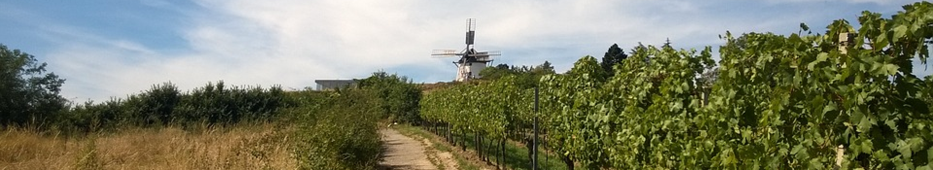 BEAUJOLAIS