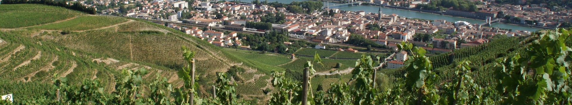 VALLEE DU RHONE NORD