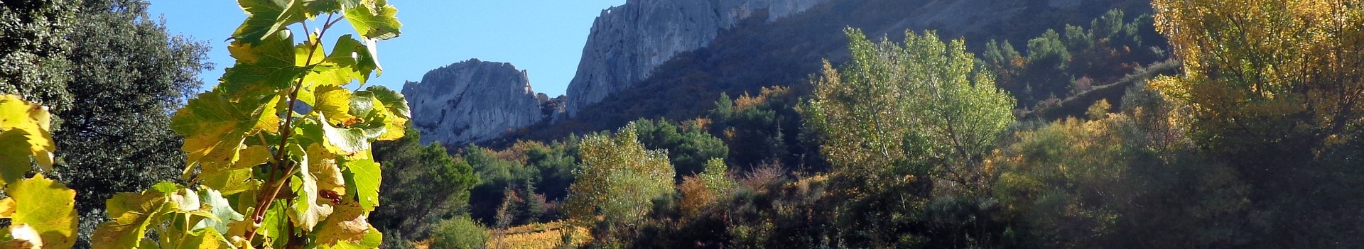 VALLEE DU RHONE SUD