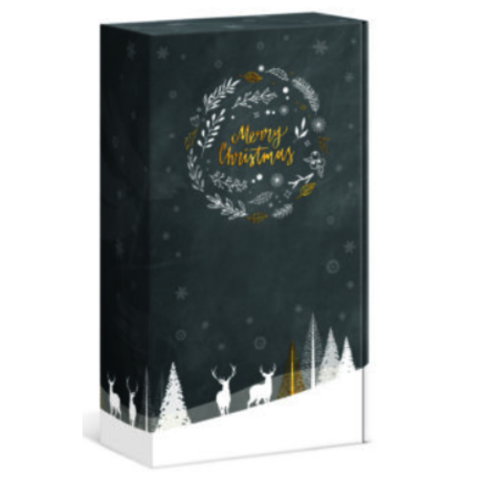 Coffret carton Hiver