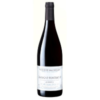 Chassagne Montrachet Rouge Les Benoîtes